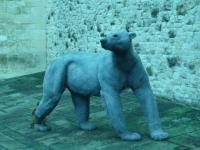 Drátěná socha medvěda z Toweru; foto: Kristýna Popirecinii